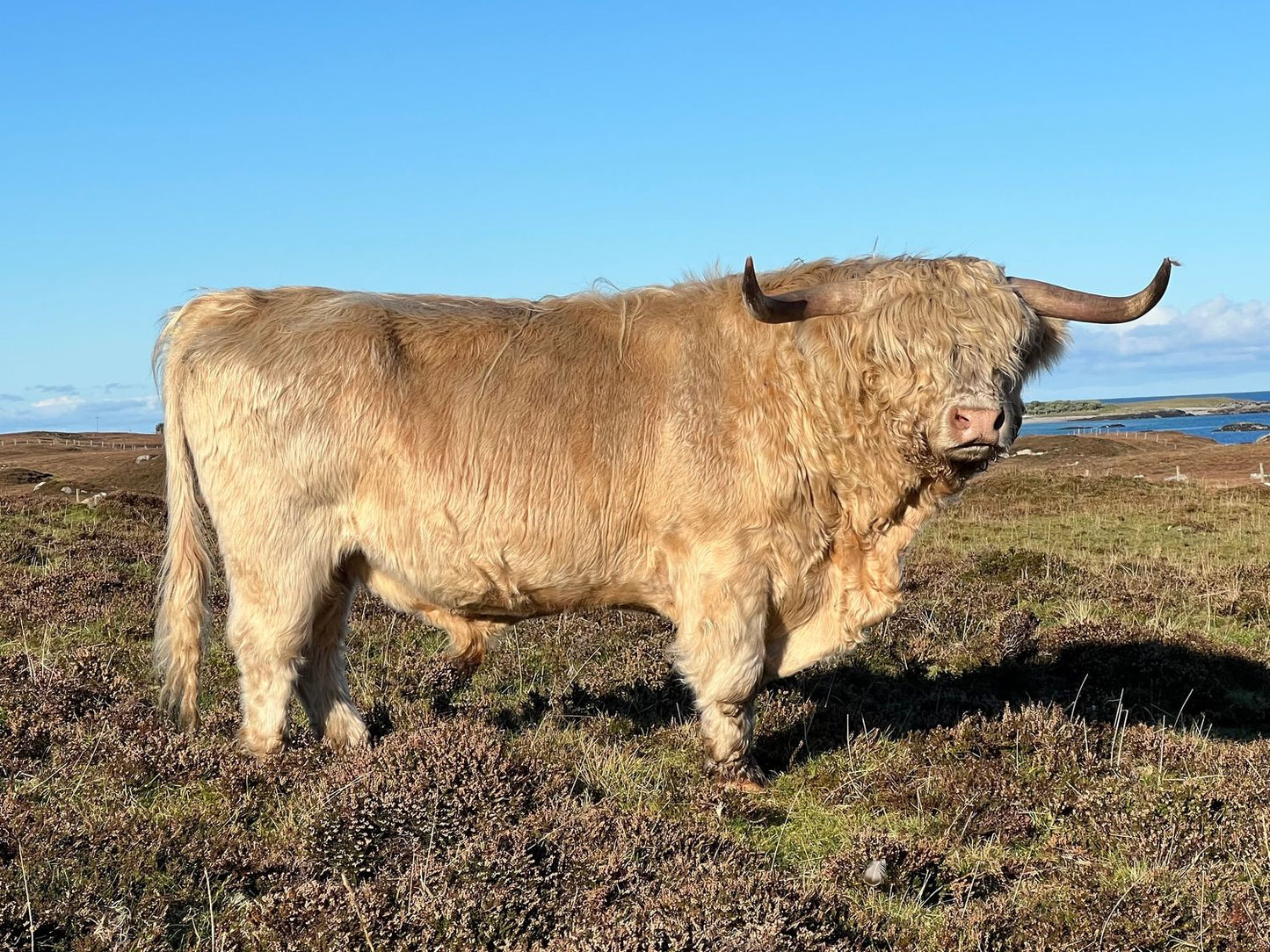 CREAG GLAS OF ARDBHAN