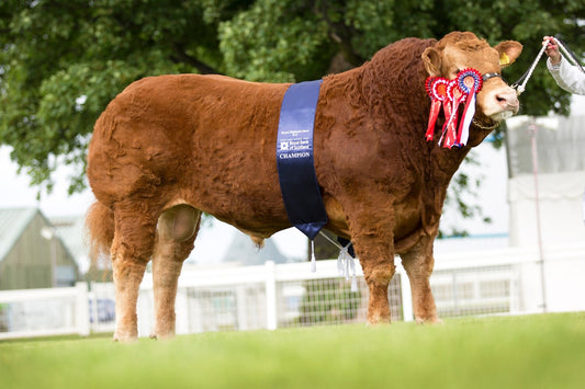 FOXHILLFARM JASPER