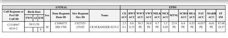 J R M RANGER