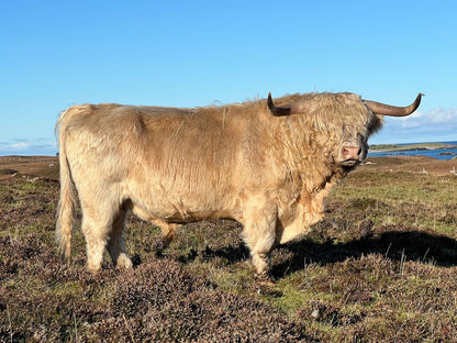 CREAG GLAS OF ARDBHAN