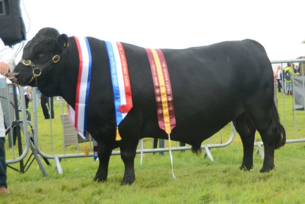 PLANETREE HADES EX94
