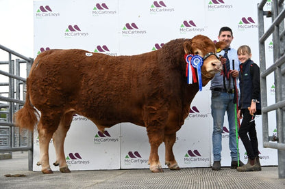 FOXHILLFARM VICTORY