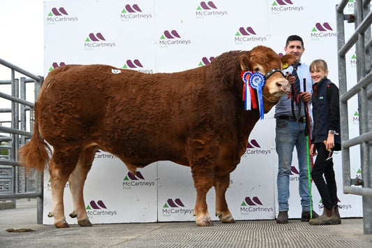 FOXHILLFARM VICTORY